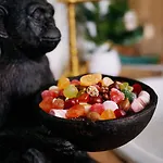 La Jungle Insolite, Spa, Ecran Cinema, Lit A Baldaquin King Size, Day Use, 10 Min Centre 阿棉