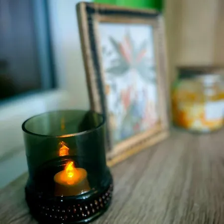 La Jungle Insolite, Spa, écran Cinéma, Lit à Baldaquin King Size, Day Use, 10 Min Centre Appartamento