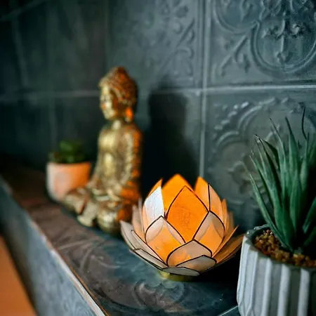 Apartamento La Jungle Insolite, Spa, écran Cinéma, Lit à Baldaquin King Size, Day Use, 10 Min Centre Amiens