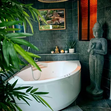 Appartamento La Jungle Insolite, Spa, écran Cinéma, Lit à Baldaquin King Size, Day Use, 10 Min Centre Amiens