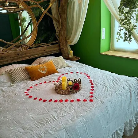 La Jungle Insolite, Spa, Ecran Cinema, Lit A Baldaquin King Size, Day Use, 10 Min Centre * アミアン