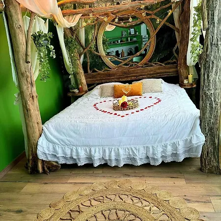 La Jungle Insolite, Spa, Ecran Cinema, Lit A Baldaquin King Size, Day Use, 10 Min Centre * アミアン