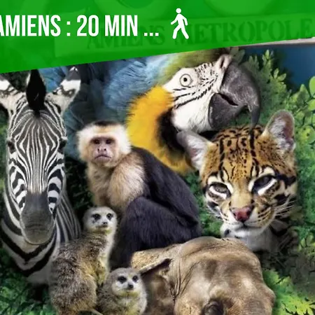 Apartamento La Jungle Insolite, Spa, écran Cinéma, Lit à Baldaquin King Size, Day Use, 10 Min Centre