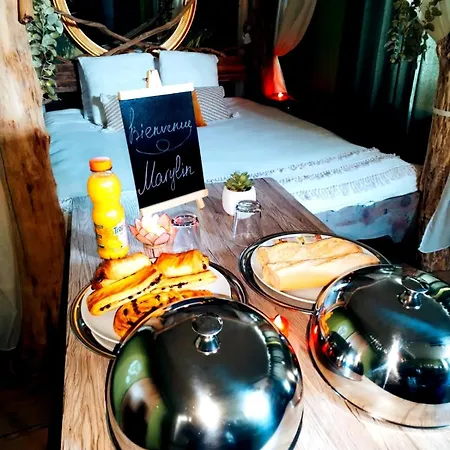 La Jungle Insolite, Spa, écran Cinéma, Lit à Baldaquin King Size, Day Use, 10 Min Centre Appartamento Amiens